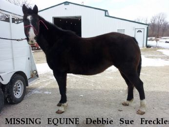 MISSING EQUINE Debbie Sue Freckles, Near Kingsvillle, MO, 64061
